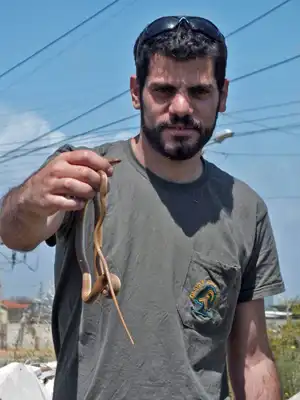 ארבל לוי לוכד נחשים מחזיק זעמן זיתני