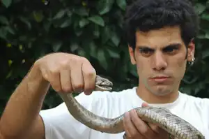 ארבל לוי לוכד נחשים מחזיק זעמן מטבעות