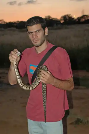ארבל לוי לוכד נחשים מחזיק צפע מאחורי הראש