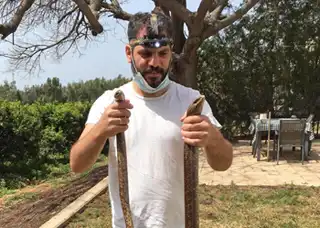 מיהו הקמטן?