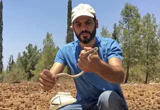 למה אסור להרוג נחשים?